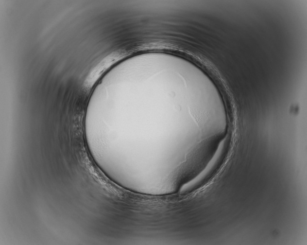 X0000108480937200904241256