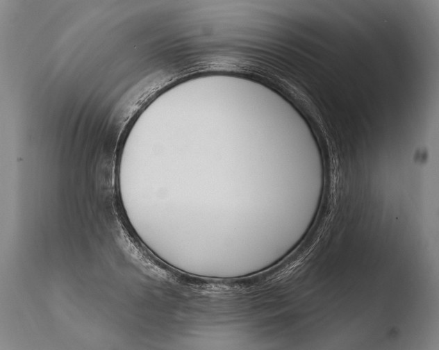 X0000108480938200904241256