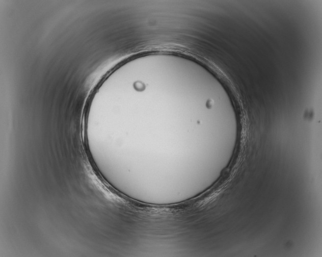 X0000108480940200904241256