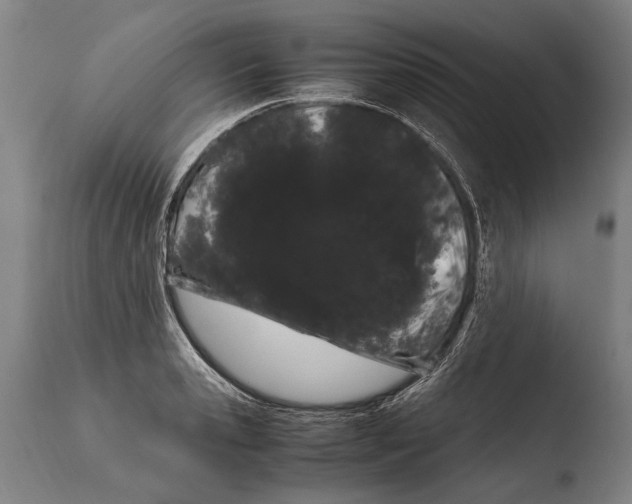 X0000108480941200904241256
