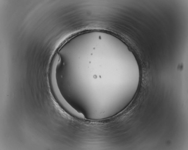 X0000108480942200904241256
