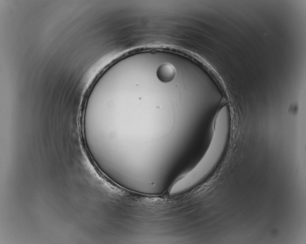 X0000108480943200904241257