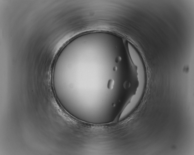 X0000108480944200904241257