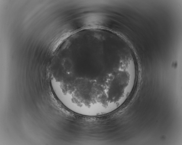 X0000108480945200904241257