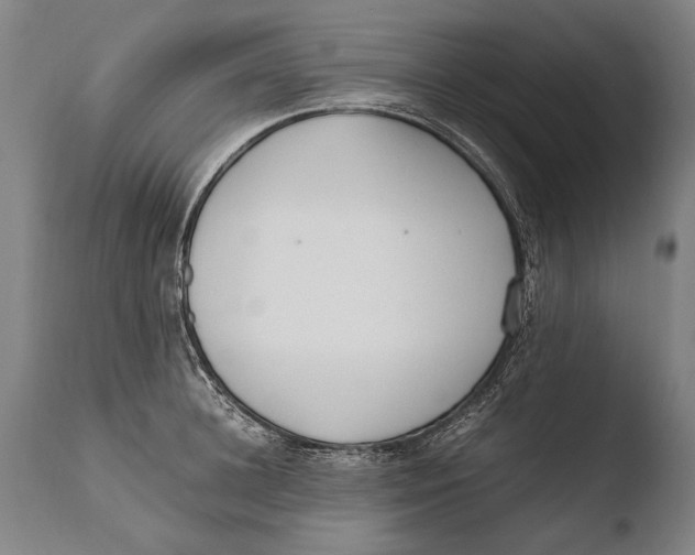 X0000108480948200904241257