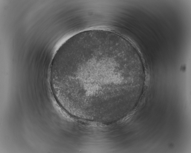 X0000108480952200904241257