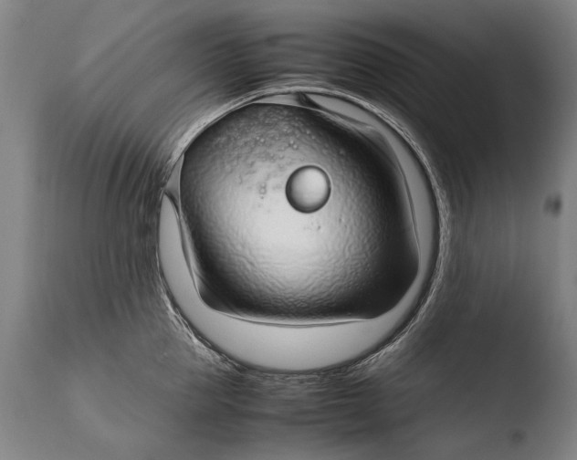 X0000108480953200904241257