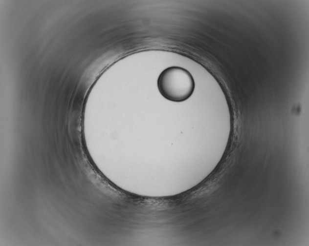 X0000108480954200904241257
