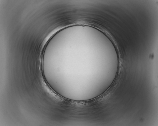 X0000108480955200904241257