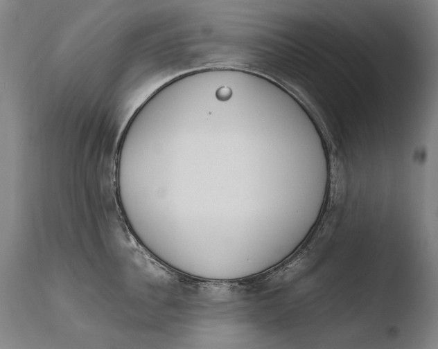 X0000108480956200904241257