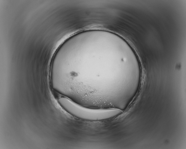 X0000108480957200904241257