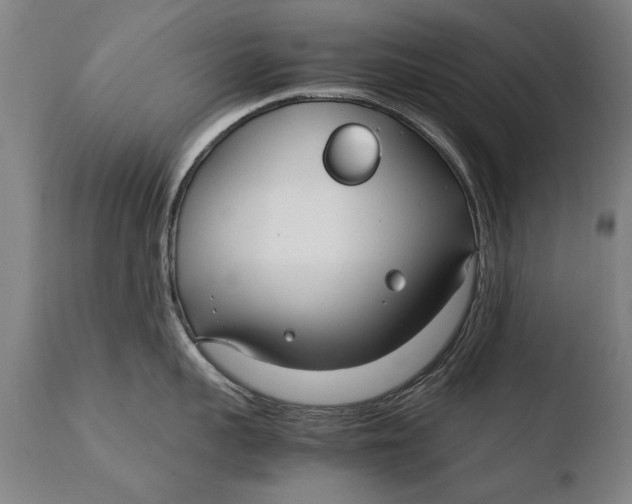 X0000108480959200904241257
