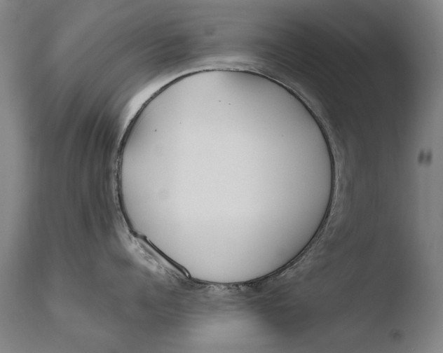 X0000108480960200904241257