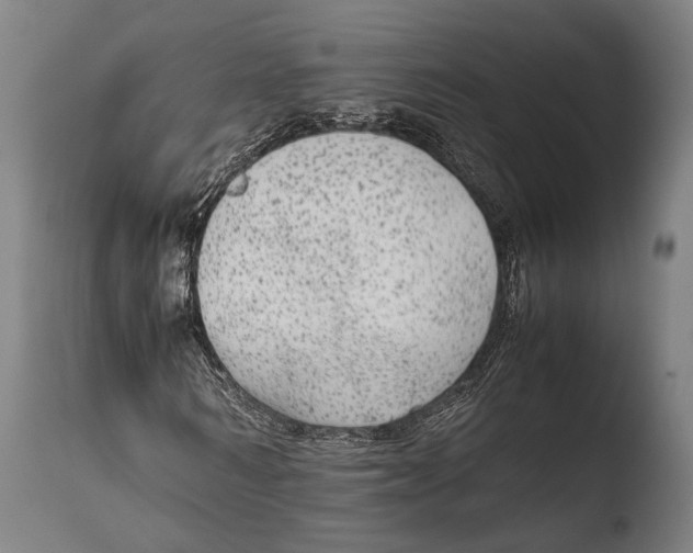 X0000108480962200904241256