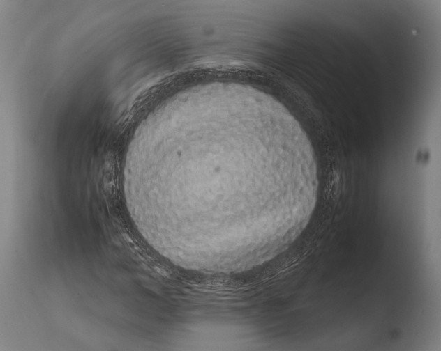 X0000108480966200904241256