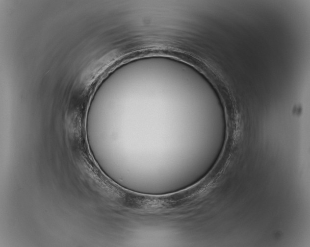 X0000108480969200904241256