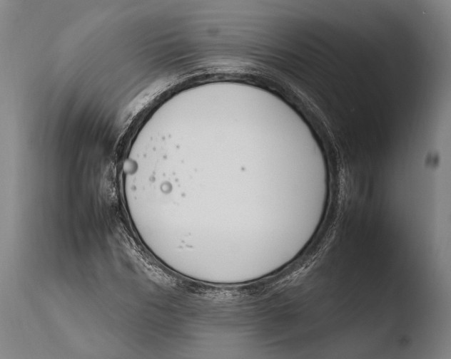 X0000108480970200904241256