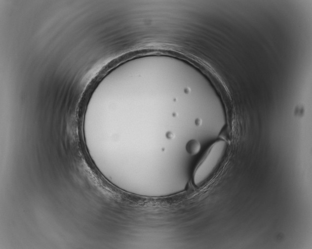 X0000108480972200904241255