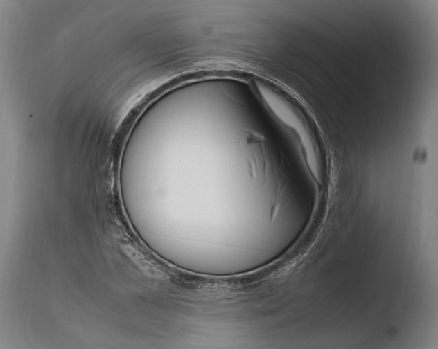 X0000108480973200904241255