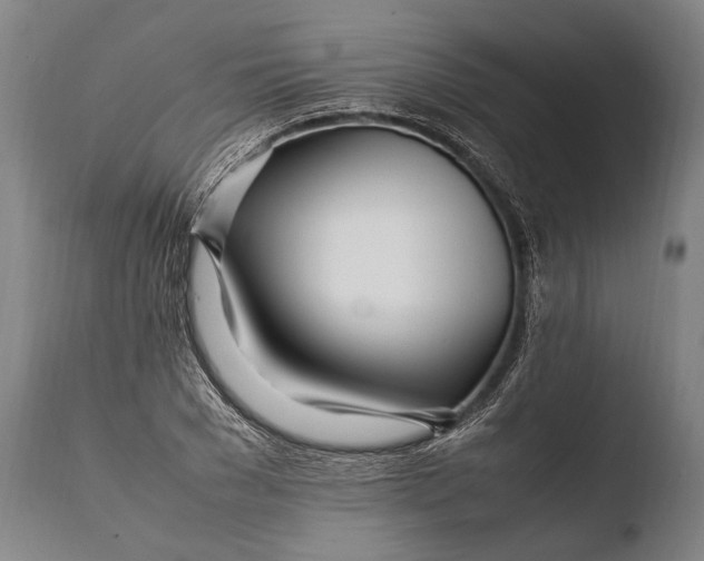 X0000108480977200904241255