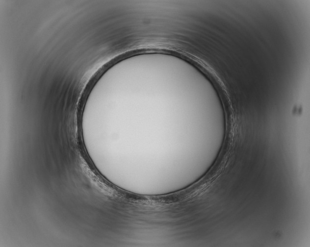 X0000108480980200904241255