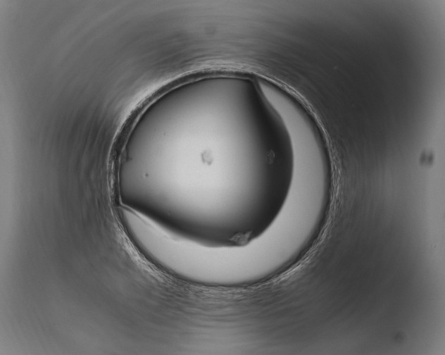 X0000108480981200904241255