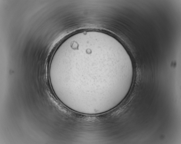 X0000108480982200904241255