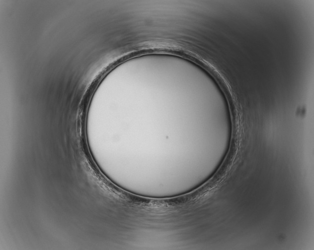 X0000108480983200904241255