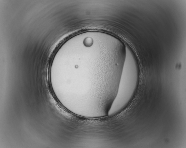 X0000108480984200904241255