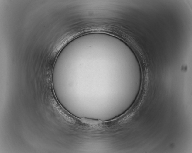 X0000108480985200904241255