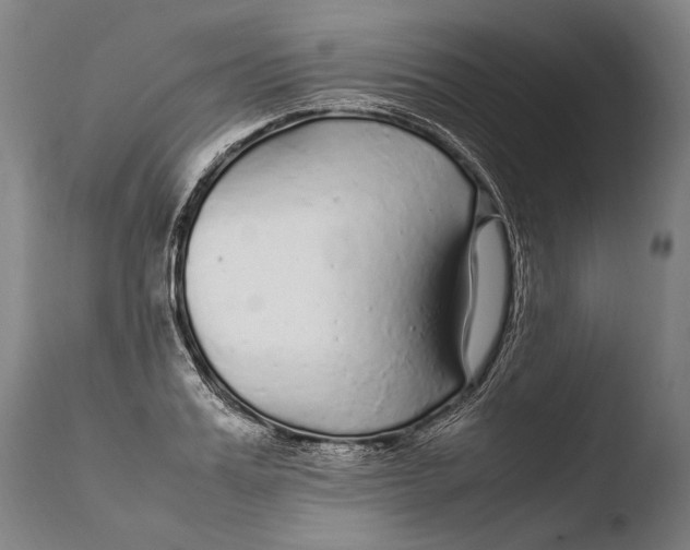X0000108480987200904241255