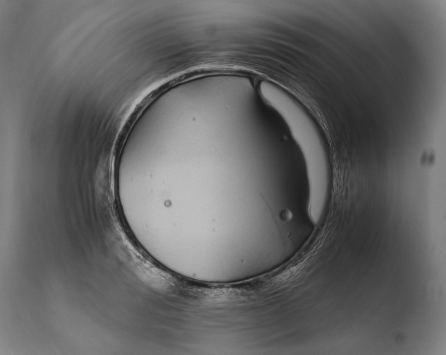 X0000108480988200904241255
