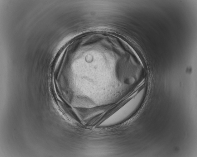 X0000108480989200904241255