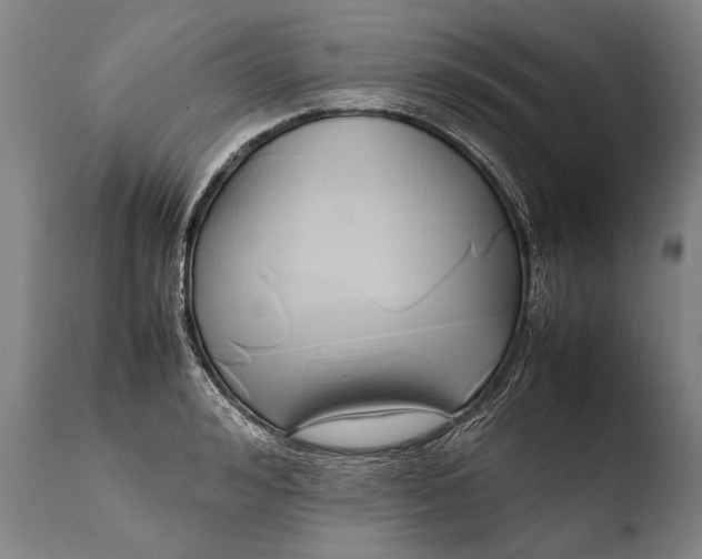 X0000108480992200904241255