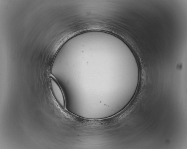 X0000108480993200904241255