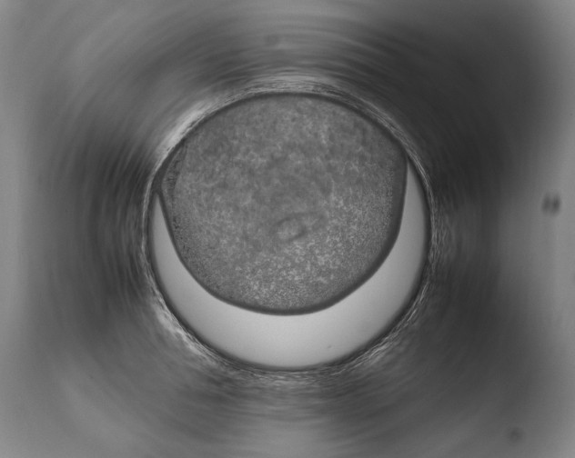 X0000108480994200904241255