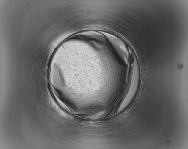 X0000108480995200904241255