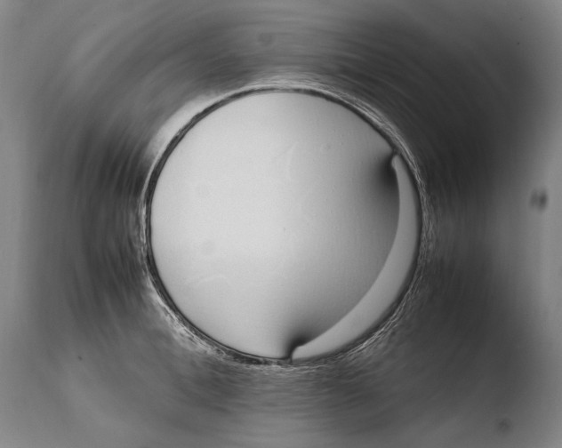 X0000108480996200904241255