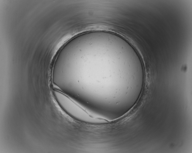 X0000108480997200904241255
