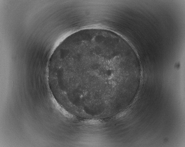 X0000108480998200904241255