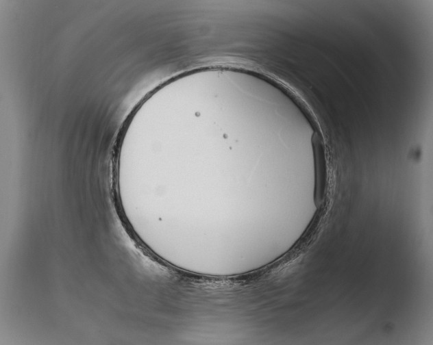 X0000108480999200904241255