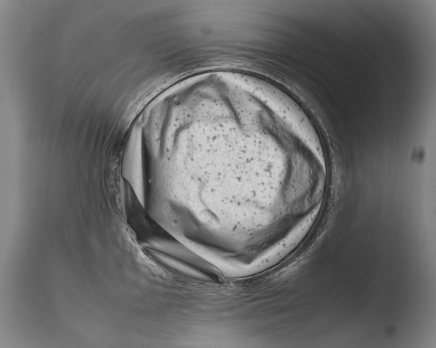 X0000108481001200904241255