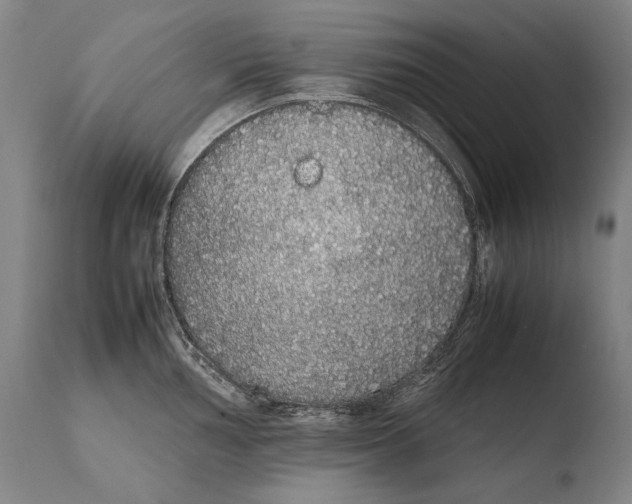 X0000108481002200904241255
