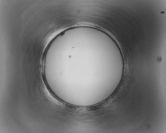 X0000108481003200904241255