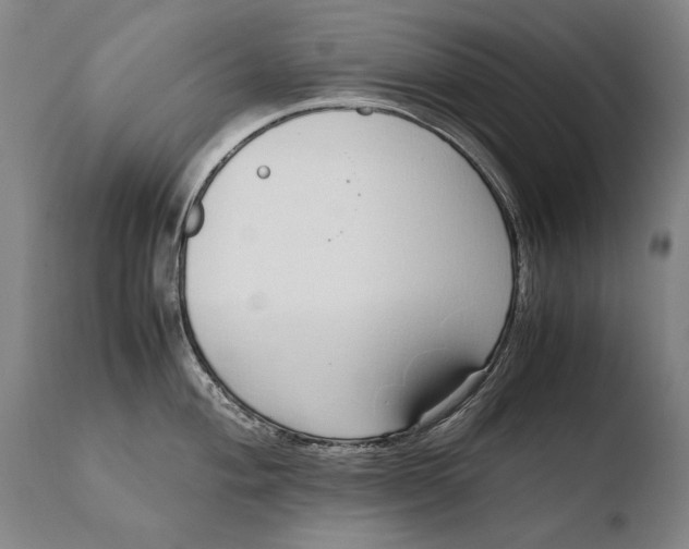 X0000108481004200904241255