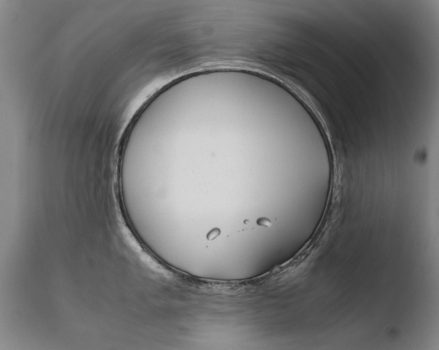 X0000108481005200904241255