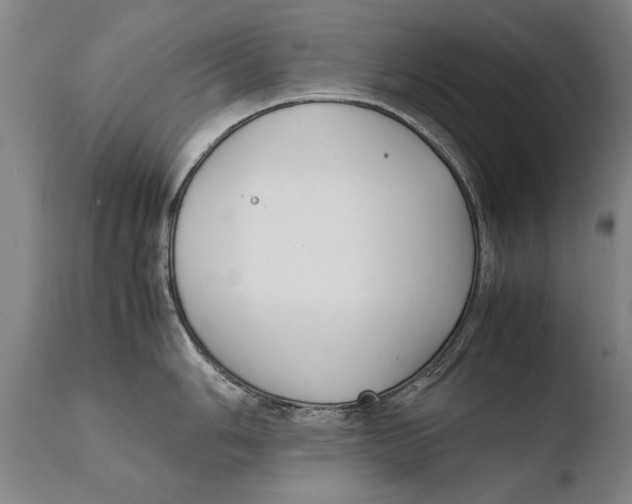 X0000108481006200904241255