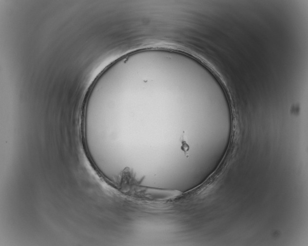 X0000108481007200904241255