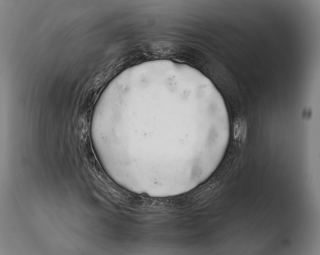 X0000108481011200904241254