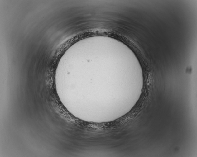 X0000108481015200904241254